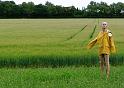 Newbyth scarecrow